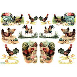 1papier de riz Poules-R471