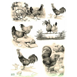 1papier de riz Poules-R667