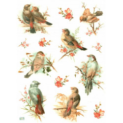 1papier de riz Oiseaux-R1069