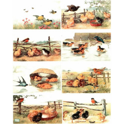 1papier de riz Poules-R1071