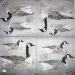 1papier riz Canards-STA10