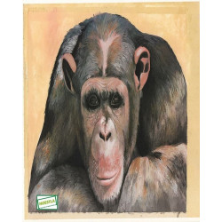 papier découpage Le singe-D0