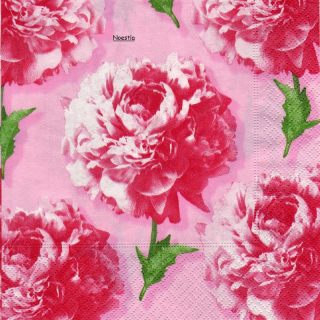 1 serviette papier Les Roses - 26