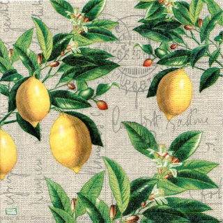 1 serviette papier Les Citrons -13