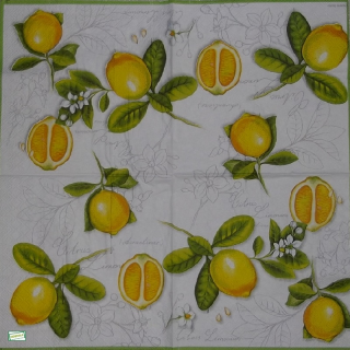 1 serviette papier Les Citrons - 26