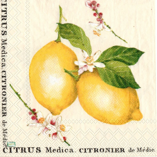 1 serviette papier Les Citrons - 43