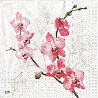 1 serviette papier Les Orchidés - 7
