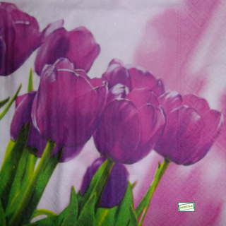 1 serviette papier  Tulipes - 10
