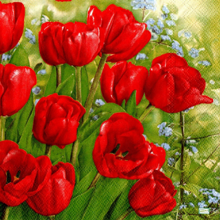 1 serviette papier  Tulipes - 50
