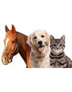 • Chats • Chiens • Chevaux